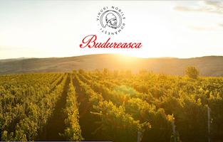 budureasca
